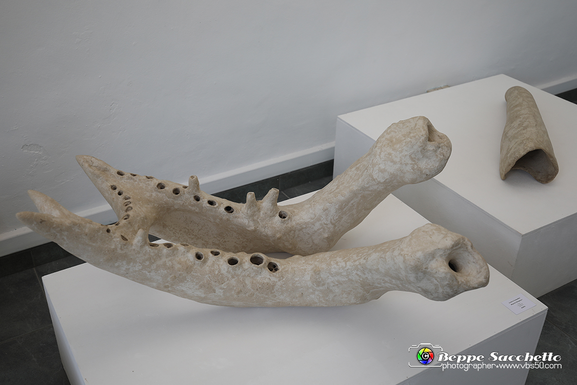 VBS_4077 - Paratissima 2021 - 17.ma Edizione.jpg